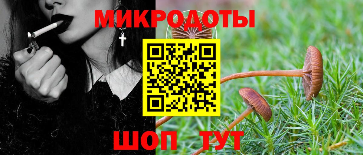 Галлюциногенные грибы ЛСД  Вход с VPN  цена наркотик  Полысаево 