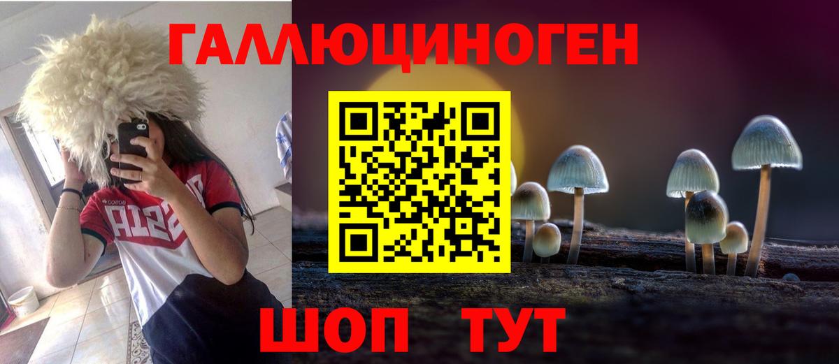 Псилоцибиновые грибы мицелий Полысаево